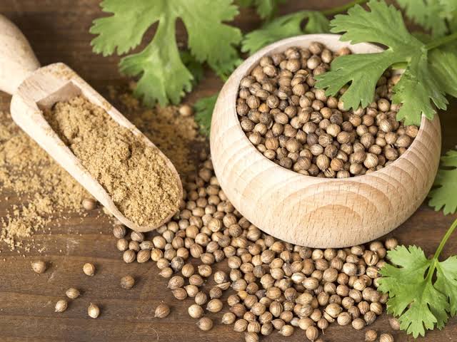 Coriander - SIVANK Traders