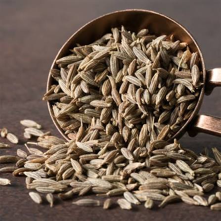 Cumin (Jeera) - SIVANK Traders