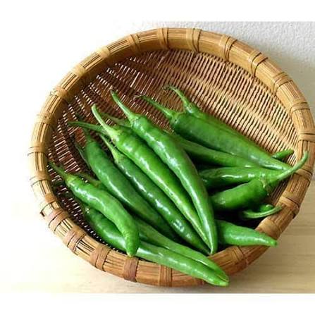 Green Chillies - SIVANK Traders