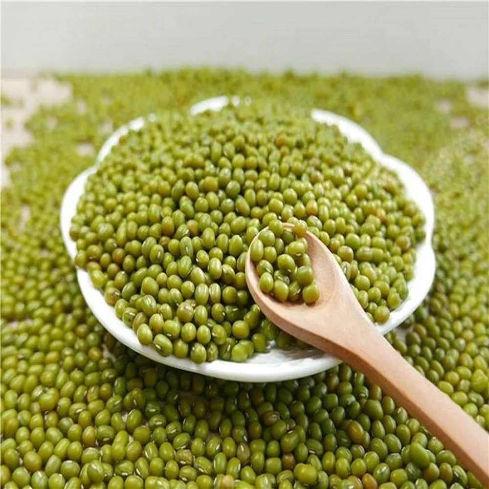 Green Gram (Moong) - SIVANK Traders